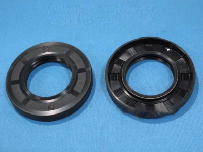 САЛЬНИК БАКА